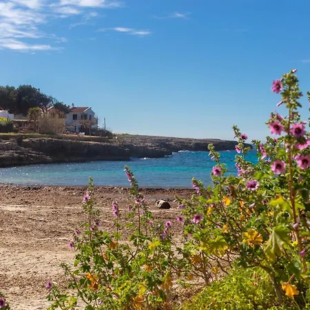 Kassiopea * Cala Blanca (Menorca)